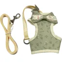 Light Green Bow Tie