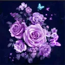 Color1