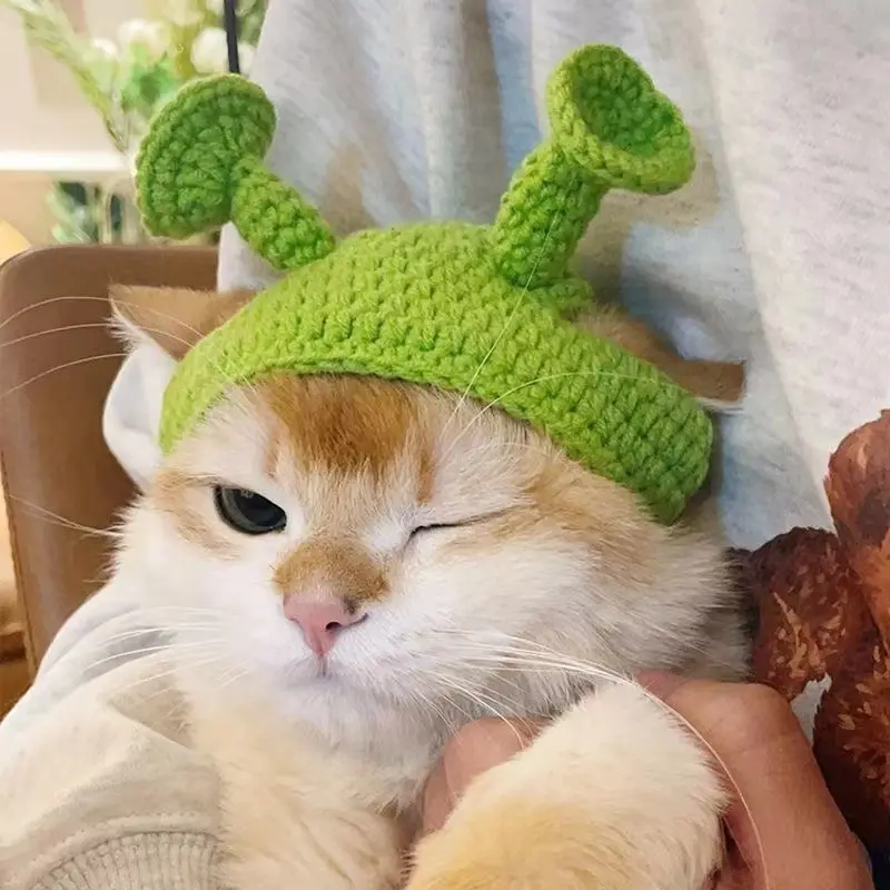 Handmade Knitted Cat Dog Hat Pet Hair