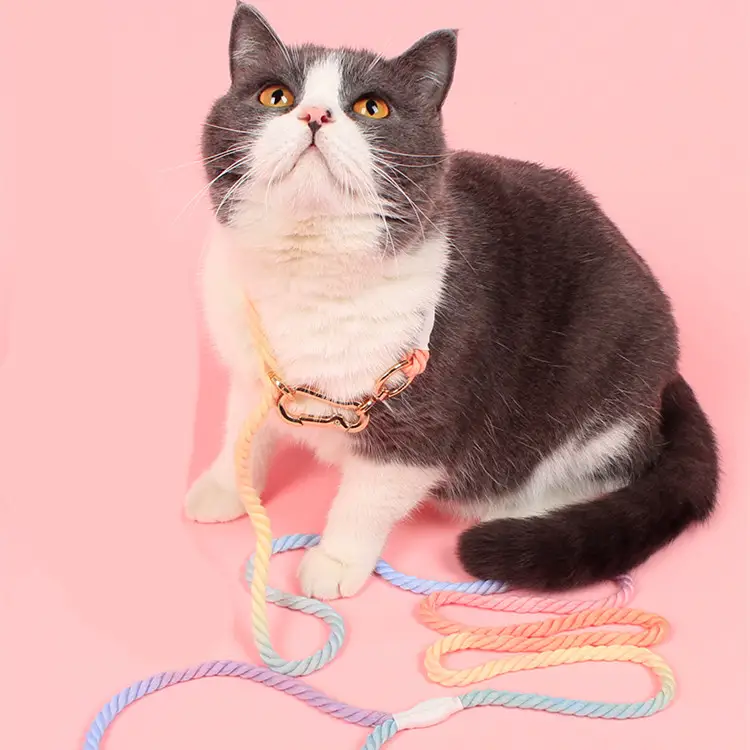 Dog Rainbow Traction Rope Explosion-proof And Adjustable