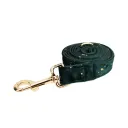 Dog Leash2