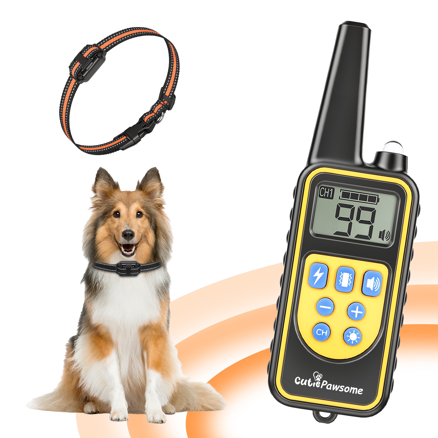 Dog Training Collar With Remote — foto 21