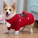 Red Suit