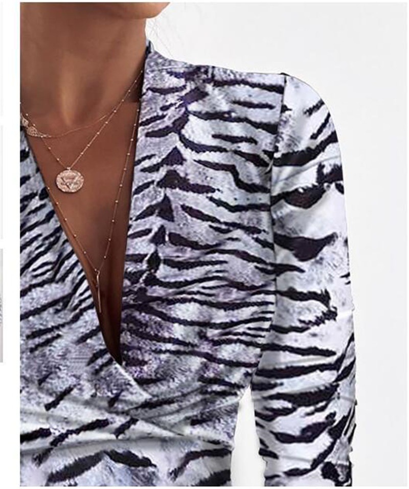 Title 8, Sexy Long Sleeve V-neck Leopard Print Ladies Bl...