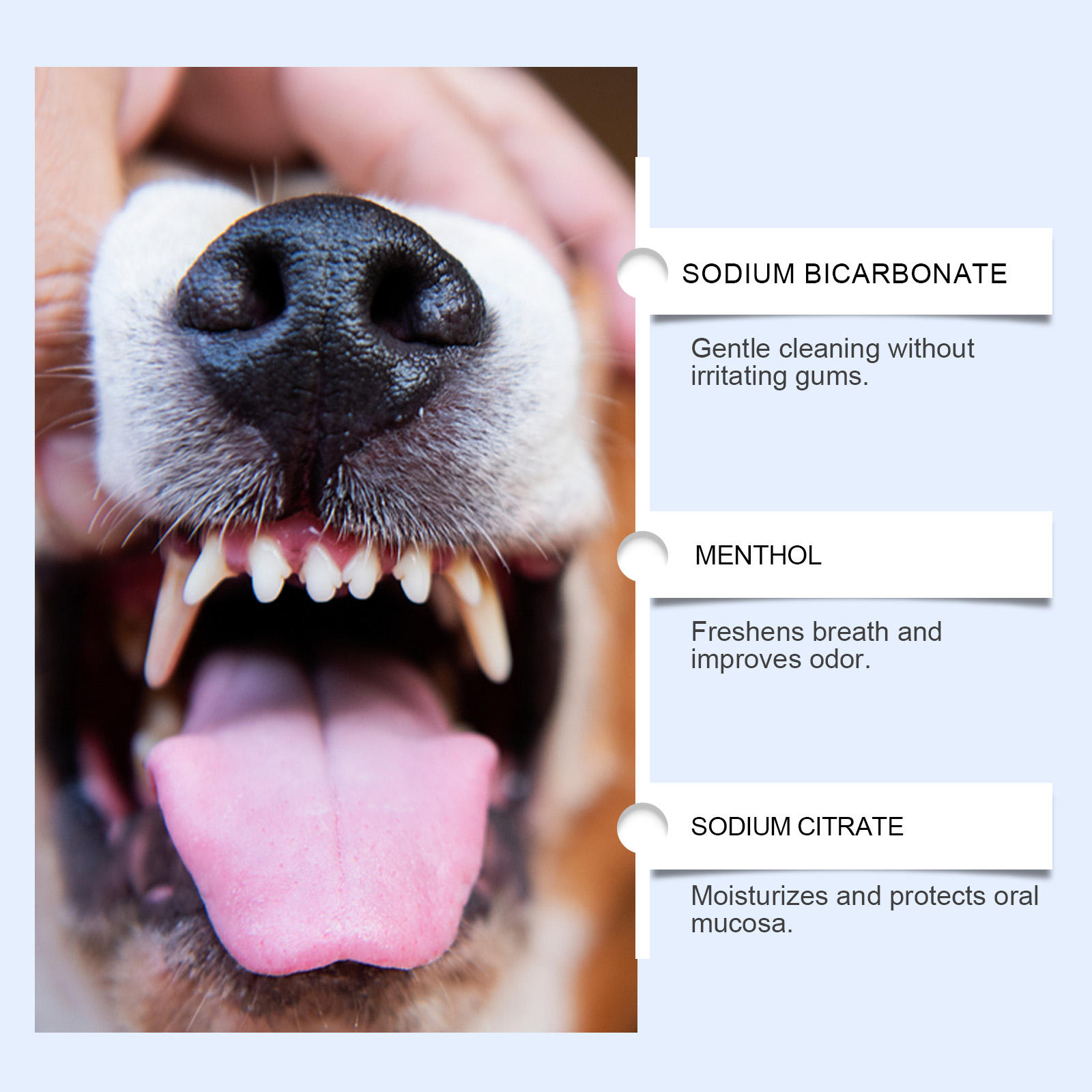 Cat And Dog Tooth Cleaning Powder 7
