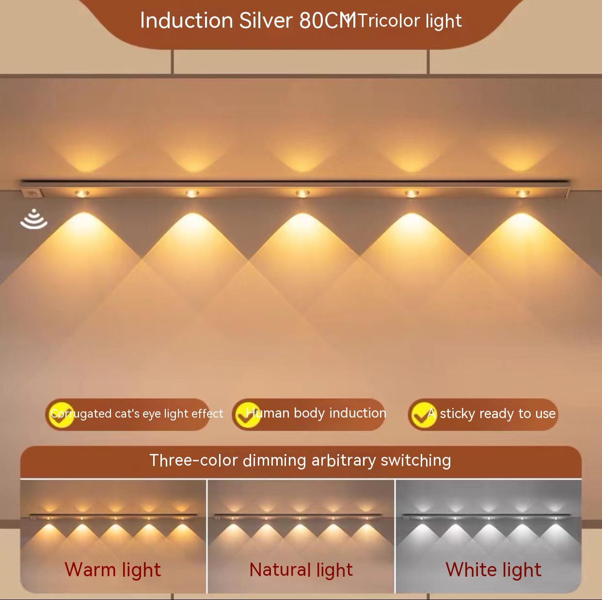 Silver tricolor light