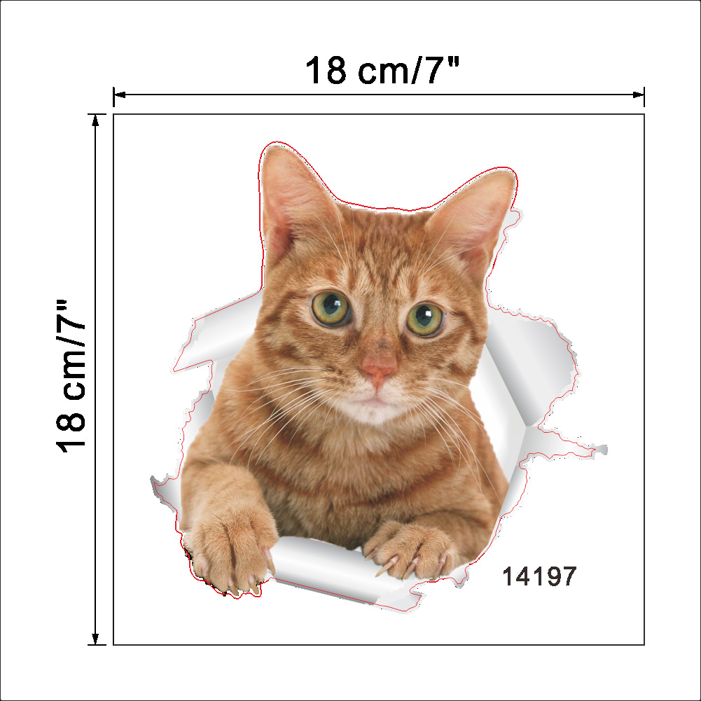 Cat19