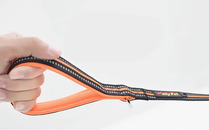 Dog Leash Nylon Leash Assisted Retractable