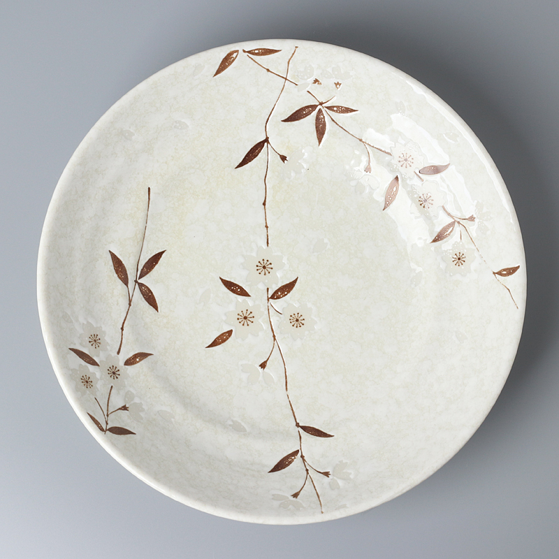 Title 5, Underglaze Ceramic Fried Rice Plate