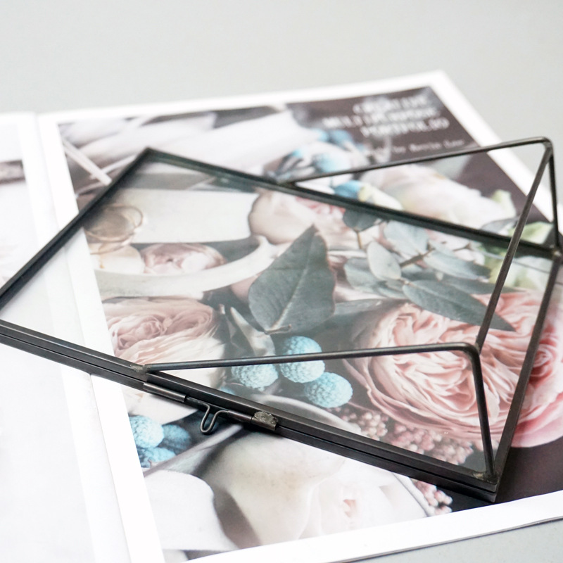 Photo Frame Photo Frame Plant Specimen Feather Photo