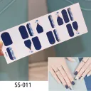 Ss0011