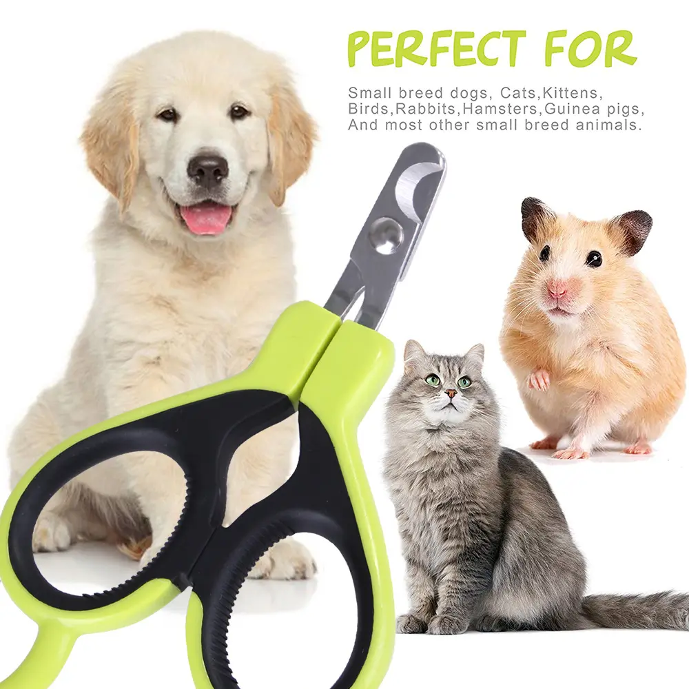 Dog Cat Nail Scissors Pet Blood Line