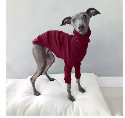 Solid Color High Neck Threaded Two Legged Dog Suit