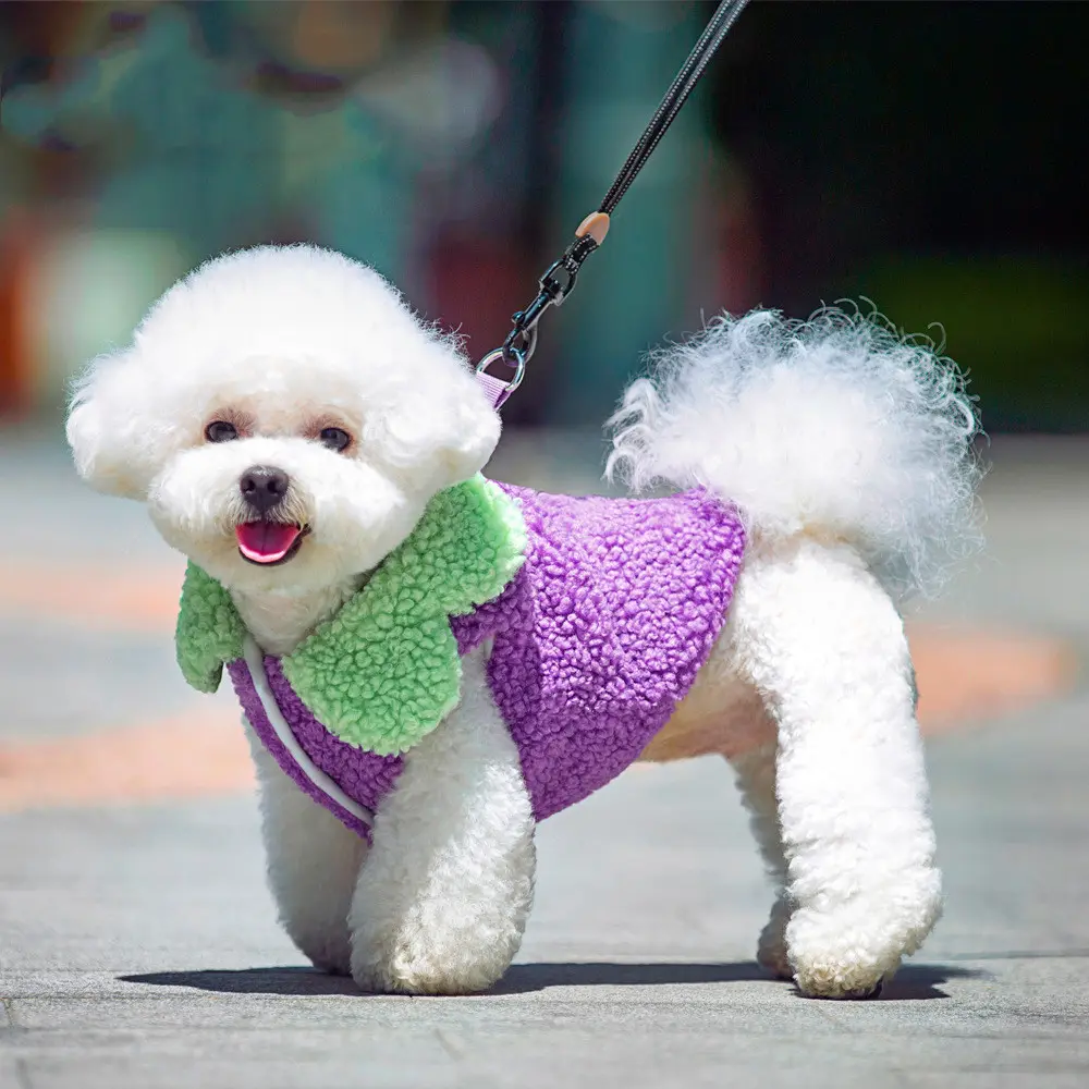 Korean Style Lotus Leaf Lace Warm Pet