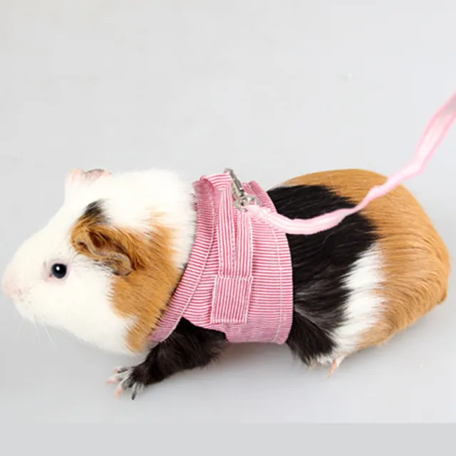Towing Rope Baby Rabbit Chinchilla Mink Pet Chest Strap Out Traction Rope Red Stripes - Shop at LoveMi