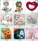 V0001