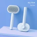 Sky Blue