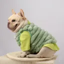 Fluorescent Green Undercoat
