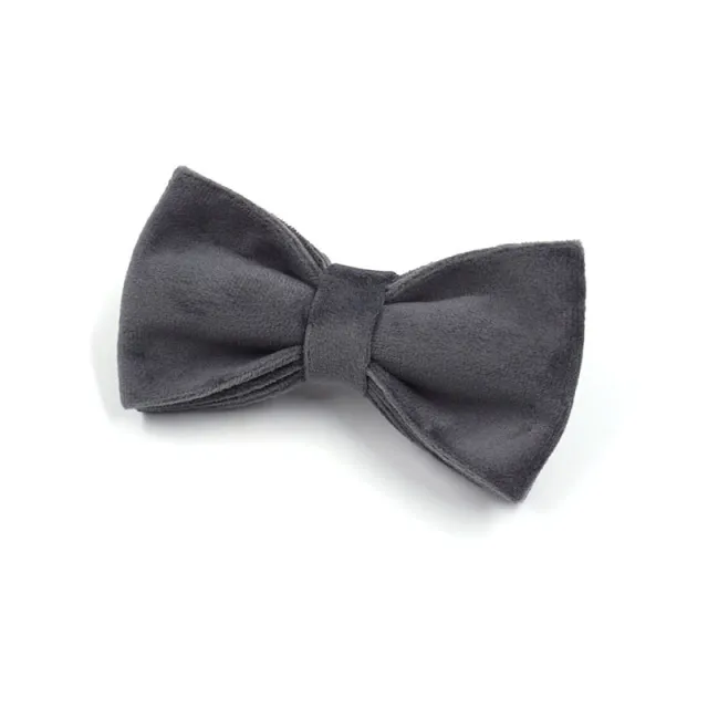 Dark Grey Velvet Pet Collar Leash Bow Tie - Shop at LoveMi