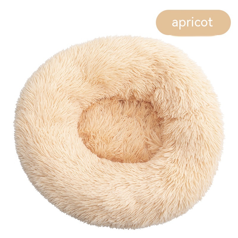 Apricot