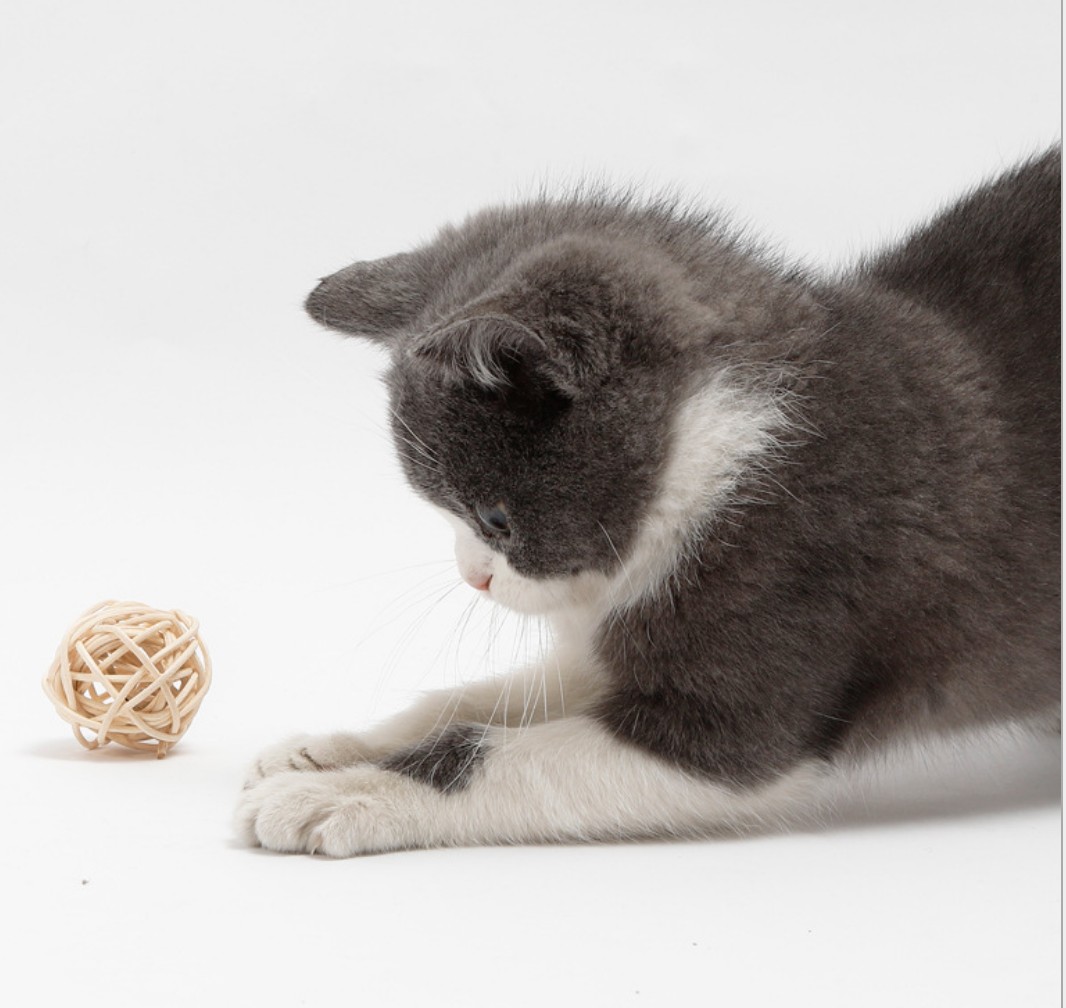 Title 5, Jouet amusant pour chat Rattan Bell Ball Feathe...