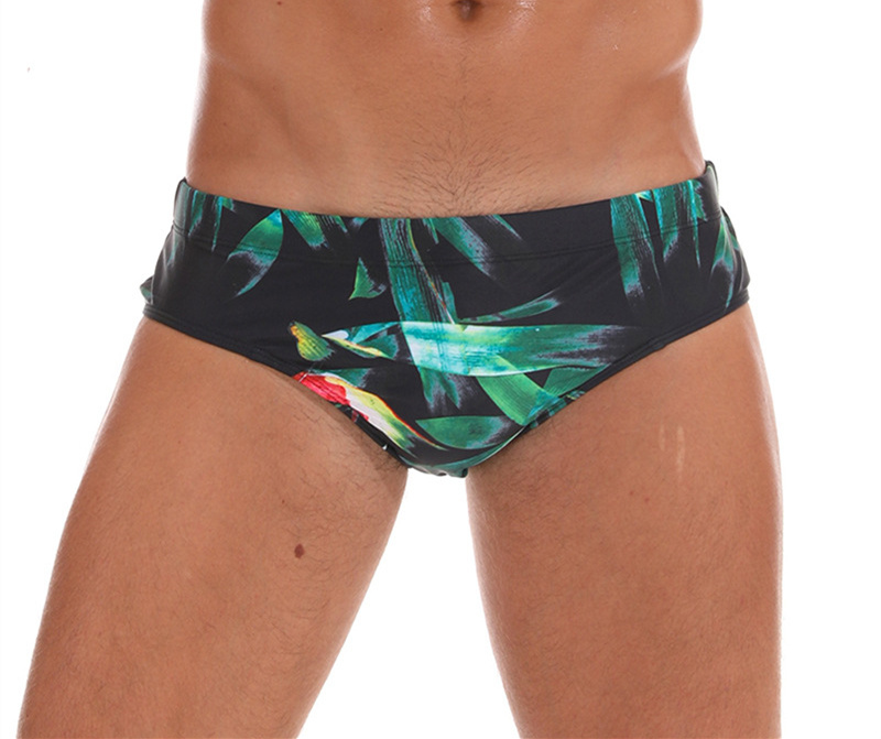 Briefs bamboo leaves