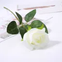 Milky White