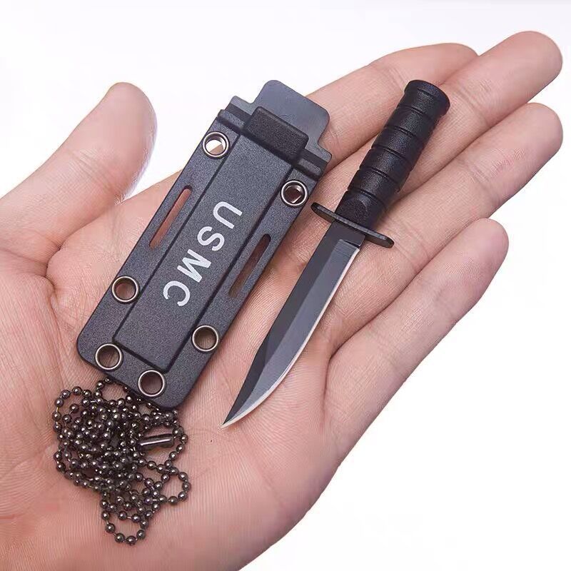 Stainless Steel Mini Straight Knife