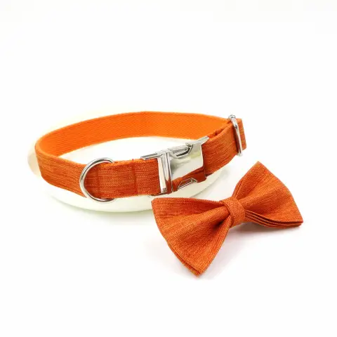 Pet Supplies Hot Dog Collar Leash
