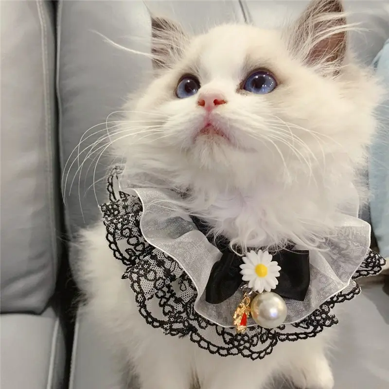 Black Little Fairy Pet Slobber Lace Scarf