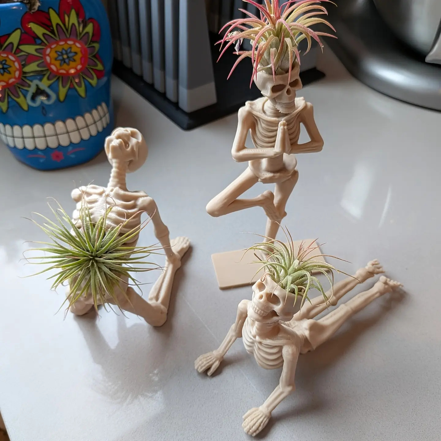3D Printed Yoga Skeleton Air Plant Holder