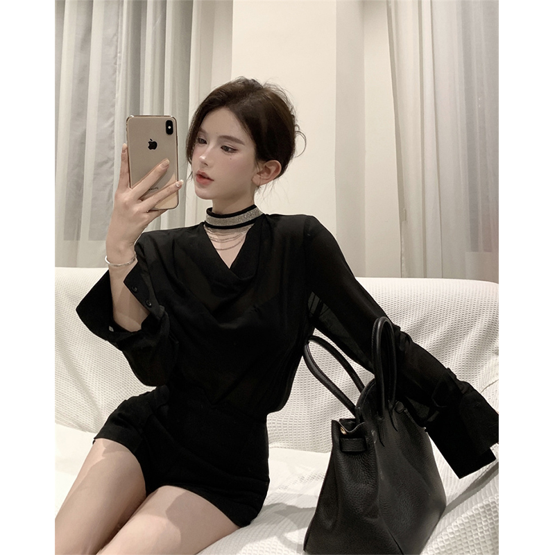 Small Black Slim Long Sleeve V-neck Top