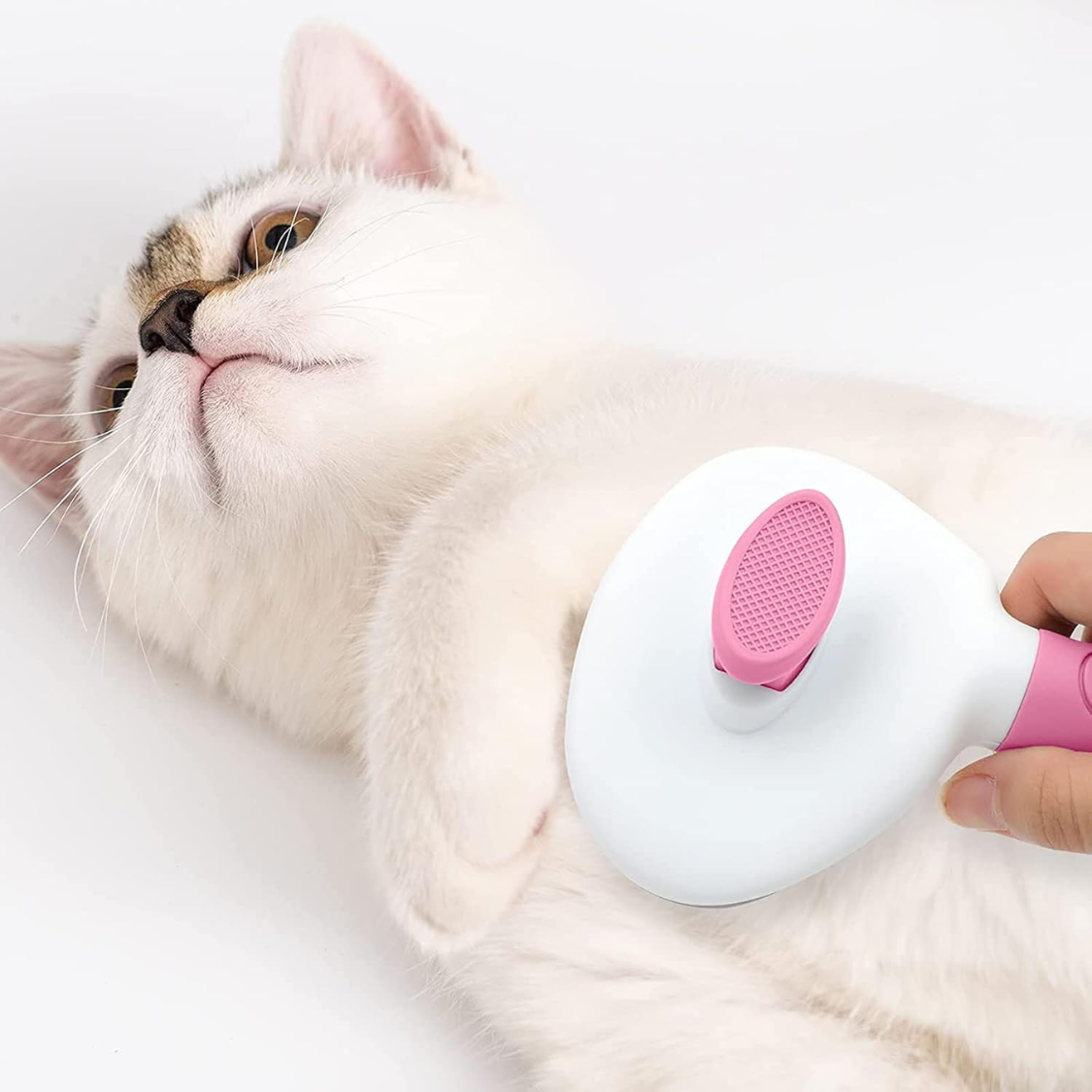 Brosse pour chat autonettoyante avec peigne métallique