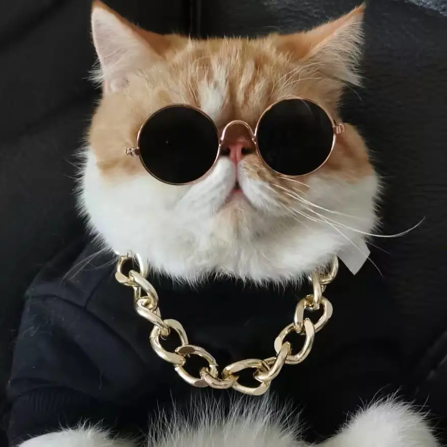 Cat Lion Headgear Hat Cute Funny Pet