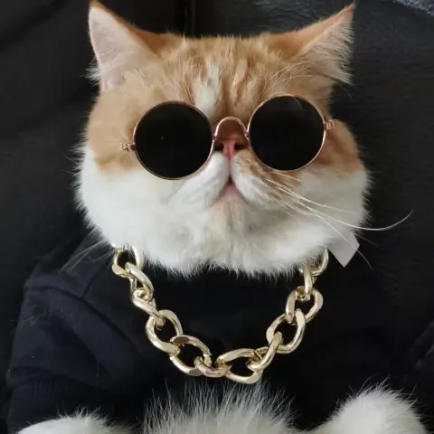 Cat Lion Headgear Cat Hat Cute Funny Pet Photo
