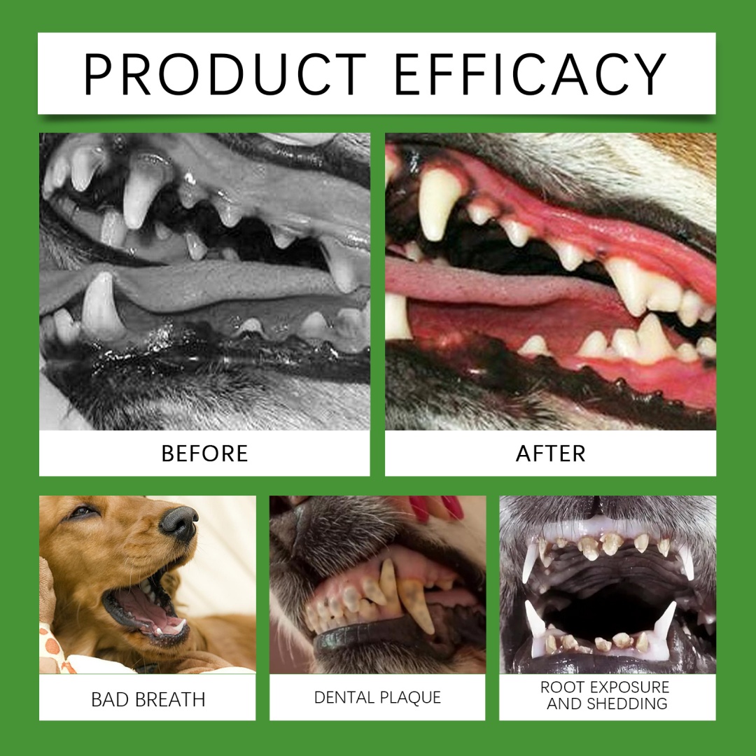 Dog Teeth Cleaning Powder 8