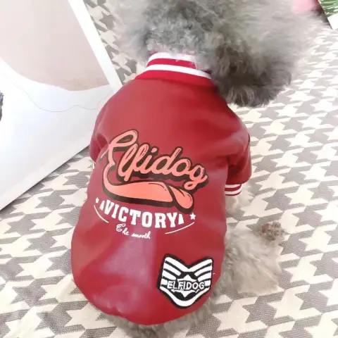Dog Clothes