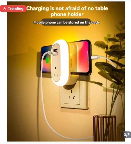 Remote Control LED Night Light Plug In Wall Light With Dual USB Charging Dimmable Lamp With Timer For Bedroom Nursery