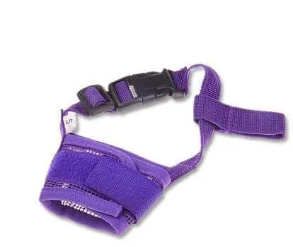 Magic Sticky Pet Nylon Mesh Dog Muzzle Cover Purple - Shop at LoveMi