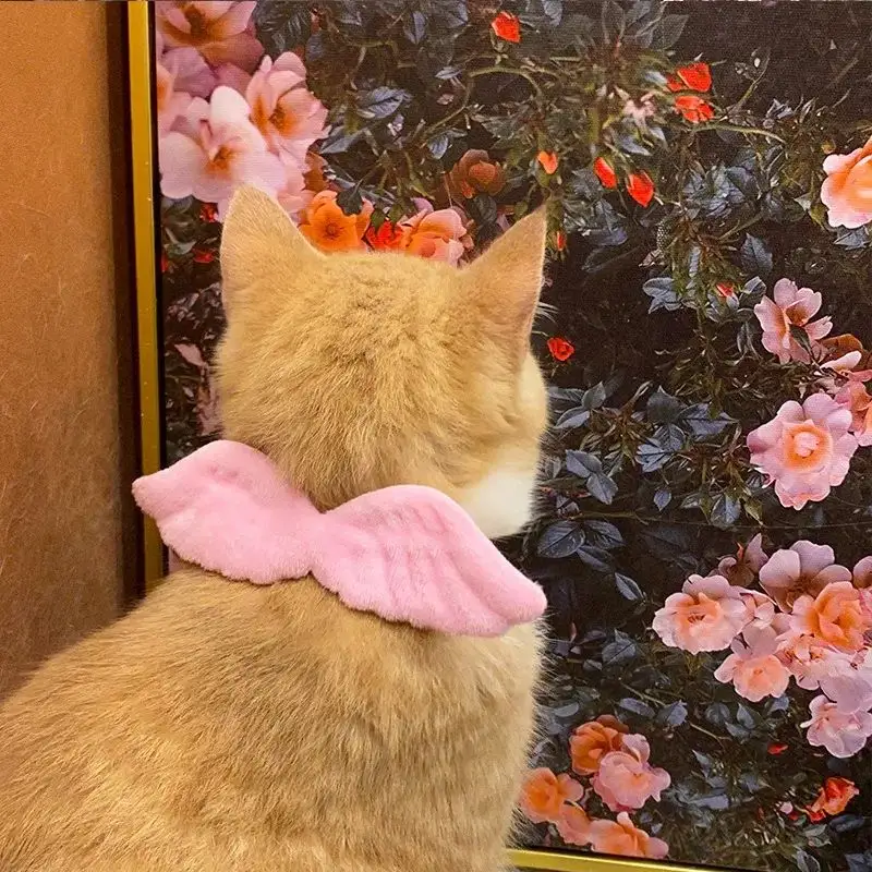 New Cat Specific Pet White Collar Angel