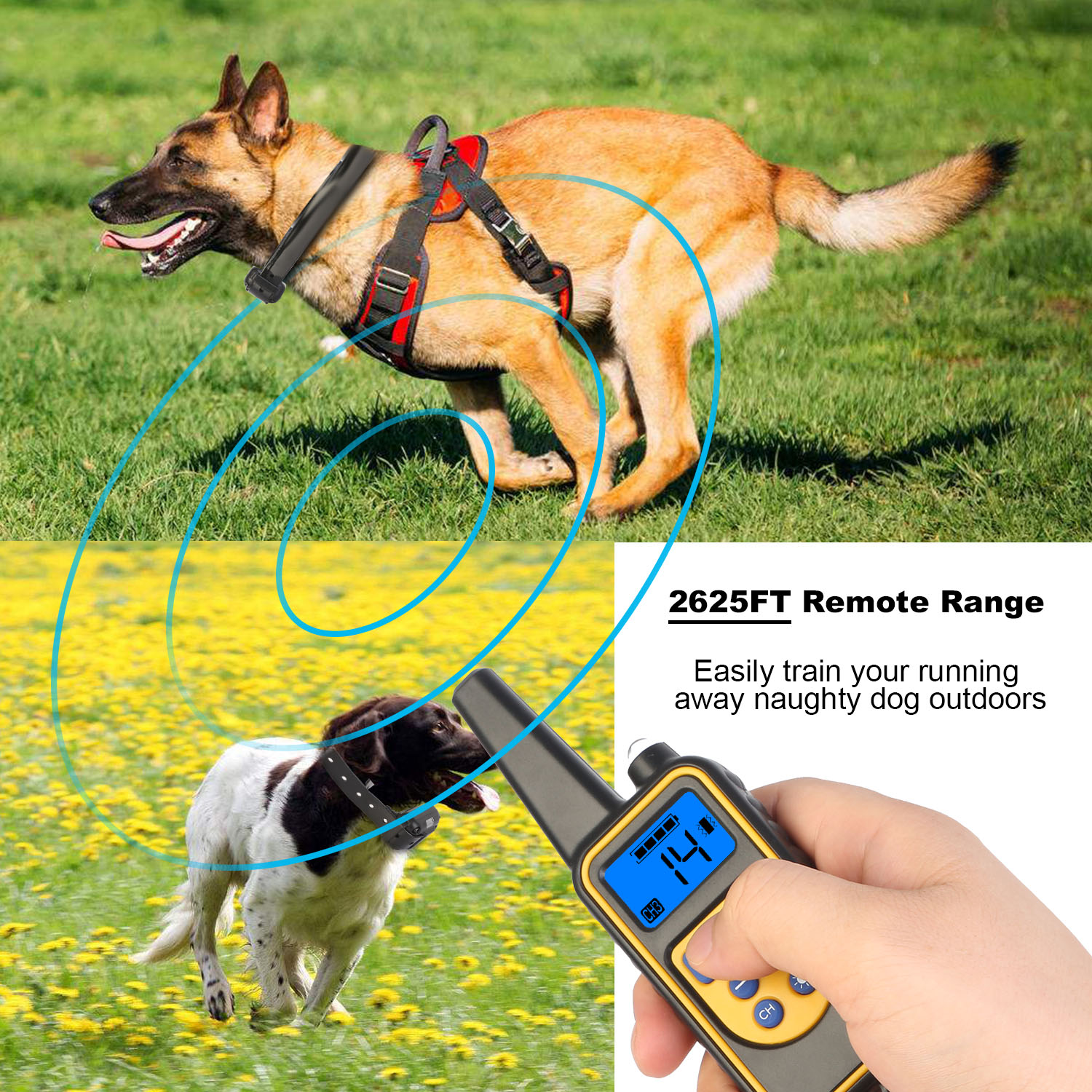 1Pc Dog Training Collar With Remote  IP67 Waterproof Pet Trainer 300mAh Rechargeable 875 Yard Remote Control 4 Modes Adjustable Level — foto 9