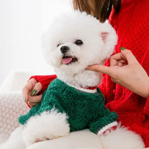 Christmas Autumn and Winter Clothes Puppy Dog