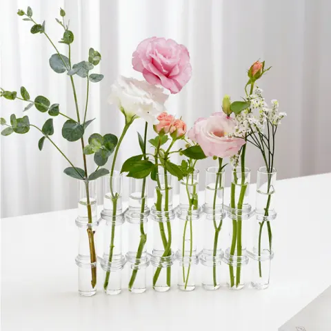Test Tube Clear Glass Vase for Plant Bottle Flower