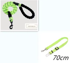 Reflective Dog Leash Nylon Pet Dog Leash Rope For Small Medium Large Dogs Walking Training Pet Suppiles - Green Set - View 1