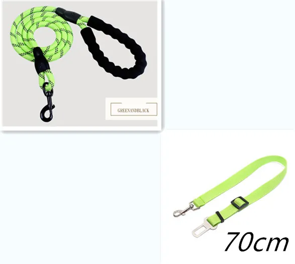 Reflective Dog Leash Nylon Pet Dog Leash Rope For Small Medium Large Dogs Walking Training Pet Suppiles Green Set - Shop at LoveMi