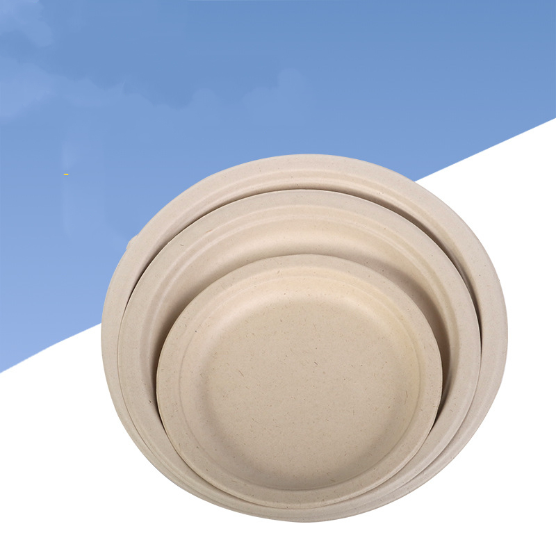 10 Inch Super Strong Paper Plates (Natural color