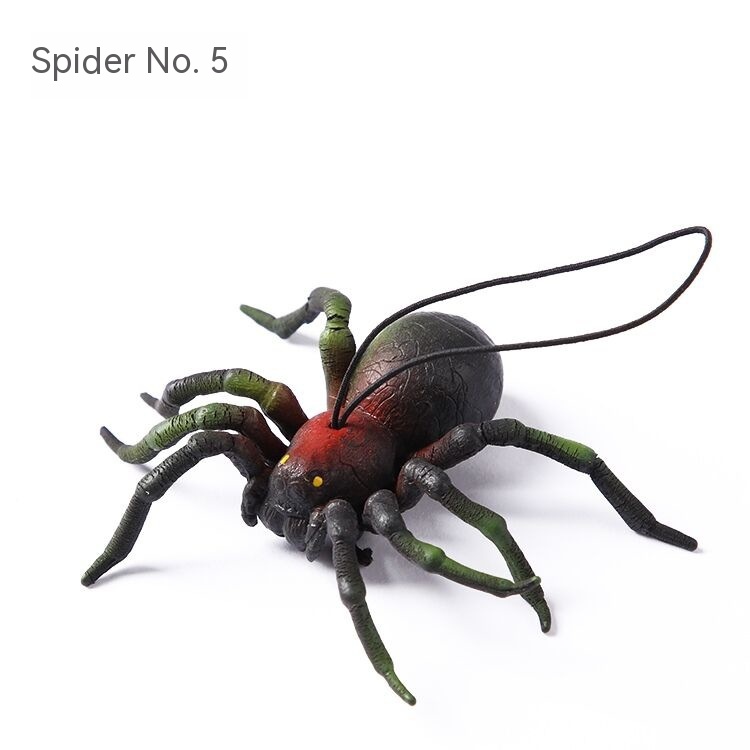 Spider 5