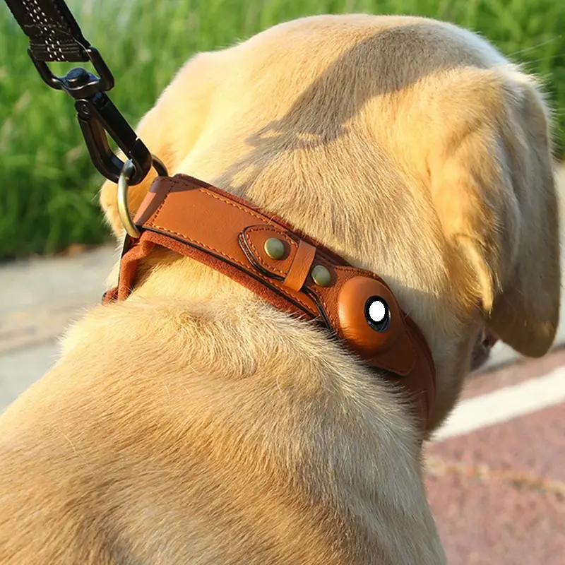 Location Tracker First Layer Leather Dog Pet