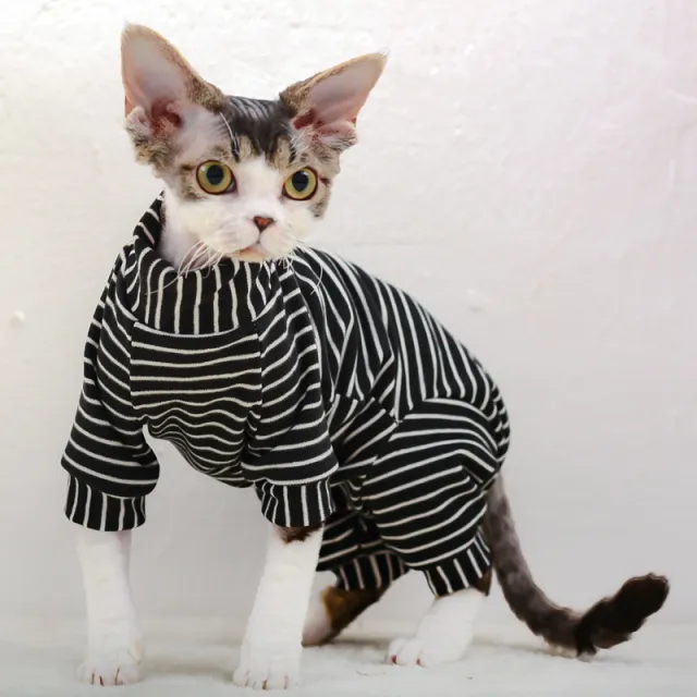 Derong Tummy Protection Four leg Sweater Black And White Stripe - Shop at LoveMi