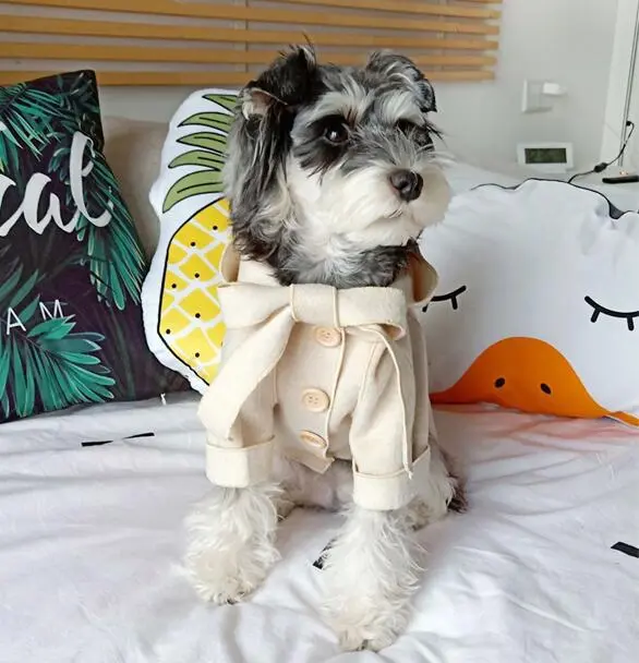 Bichon Shiba Inu Teddy Clothes Puppy Cat Fall Winter Apricot - Shop at LoveMi